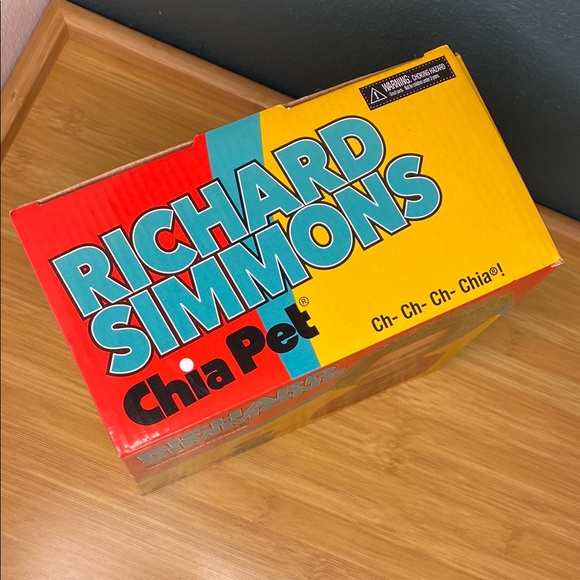 Richard Simmons Chia Pet Handmade Planter - Picture 3 of 5